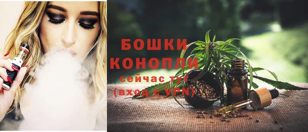 тгк Арсеньев