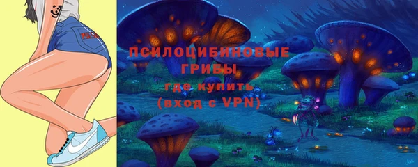 тгк Армянск