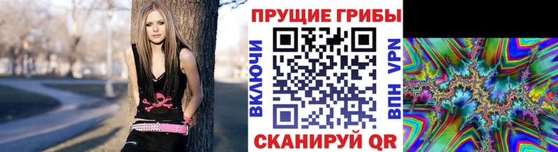 где купить наркоту  Асбест  Галлюциногенные грибы мицелий 